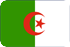 Marketing SMS  阿尔及利亚